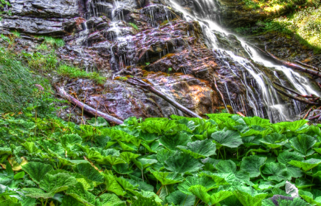 Cascata Sette Fonti | Andrea Margiotti fotografo|