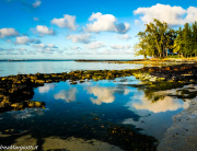 Mauritius | Reflexes