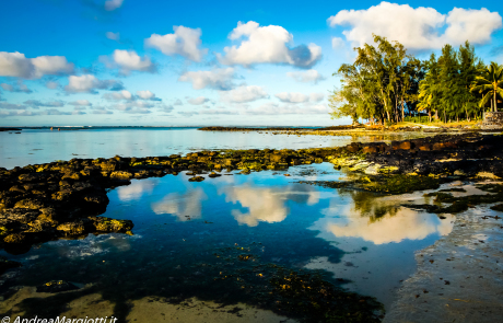 Mauritius | Reflexes